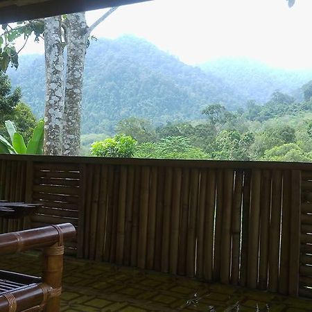 Batu Kapal Jungle Houses Hotel Berastagi Luaran gambar