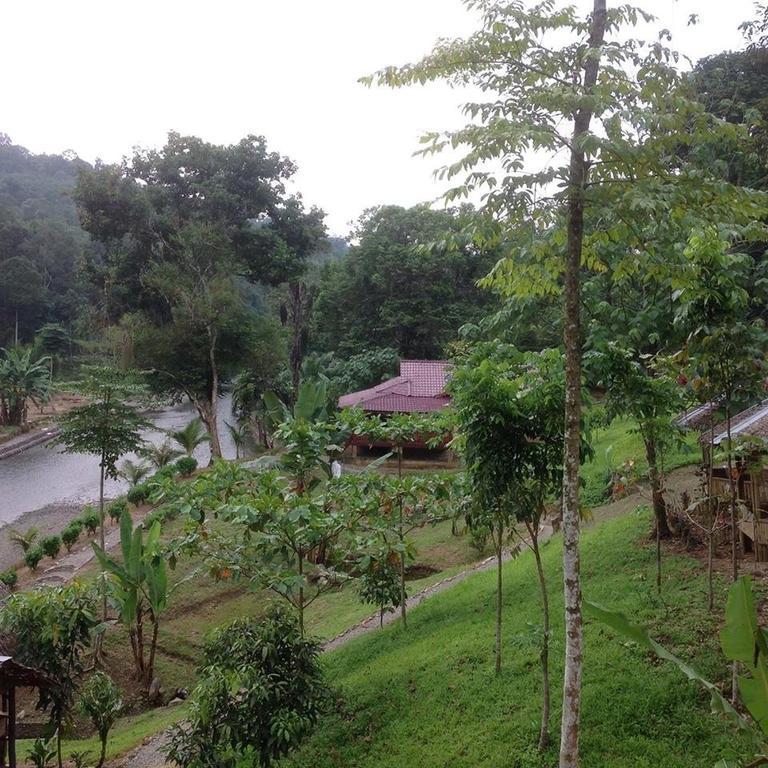 Batu Kapal Jungle Houses Hotel Berastagi Luaran gambar